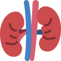 Grassfed Kidney
