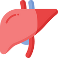 Grassfed Liver