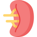 Grassfed Pancreas
