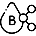 Vitamins B3, B6, B9, and B12